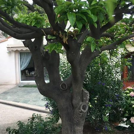 Apartman Nanouchka Bastia
